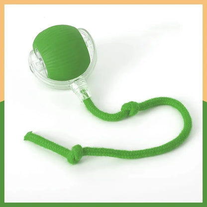 LovingPaws Interactive Self-Rolling Cat Ball™